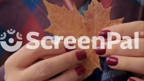 Stylish Red Female Nails. Fall Leaf In Hands. Modern Beautiful Manicure. Autumn Winter Nail Design Concept Of Beauty Treatment. Gel Nails